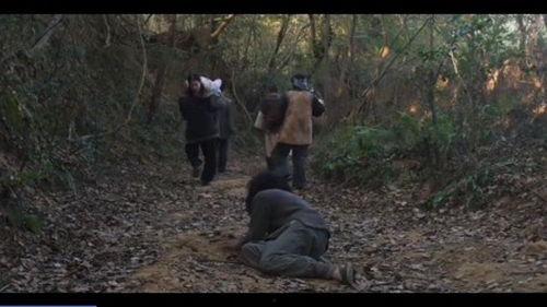 荒野无声,探寻自然与心灵的对话